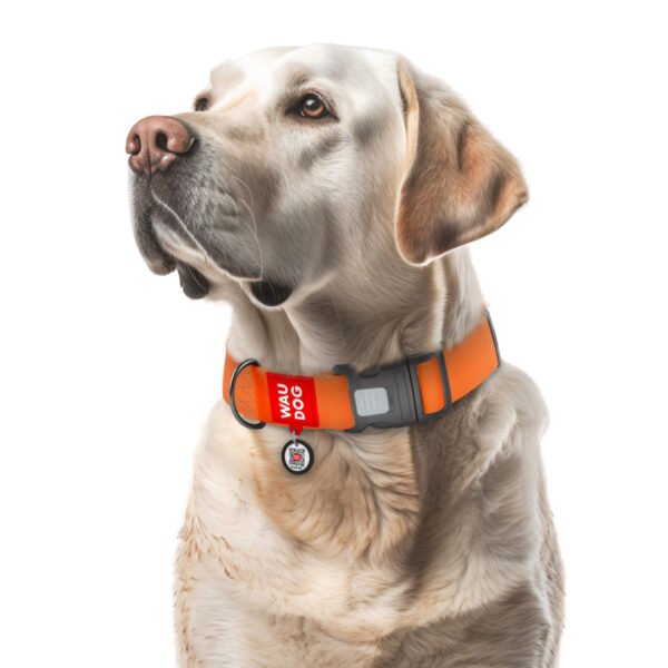 Waudog Collar Waterproof Naranja, Hebilla Fastex de Plástico + Placa QR - Imagen 3