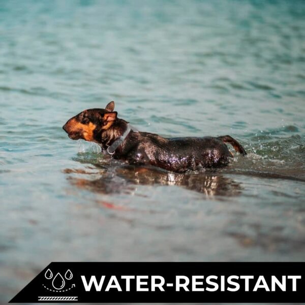 Waudog Collar Waterproof Negro, Hebilla Fastex de Metal + Placa QR - Imagen 2