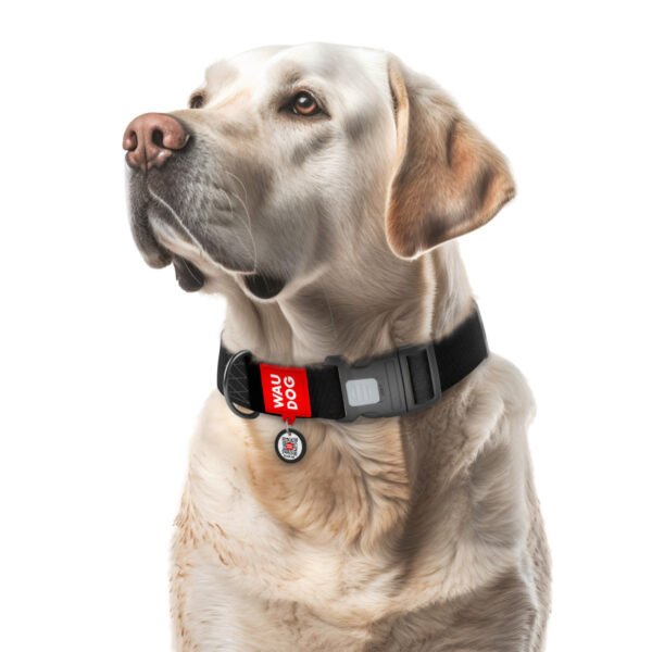 Waudog Collar Waterproof Negro, Hebilla Fastex de Plástico + Placa QR - Imagen 3