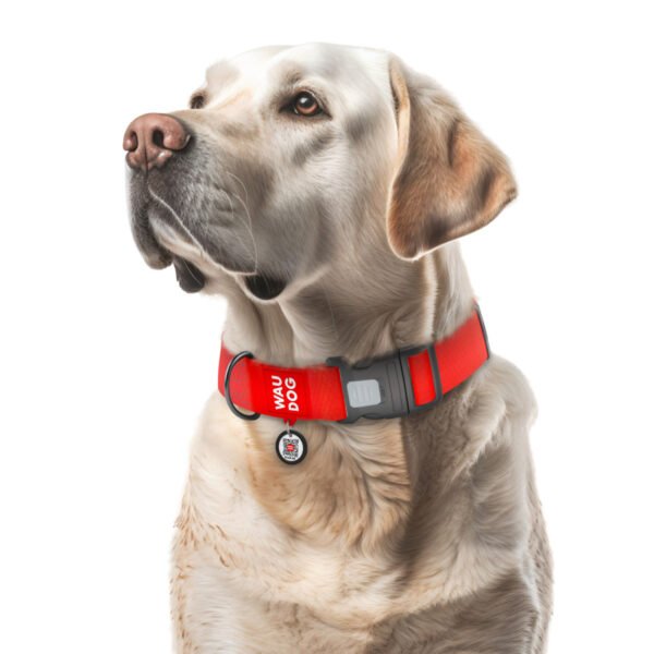 Waudog Collar Waterproof Rojo, Hebilla Fastex de Plástico + Placa QR - Imagen 3