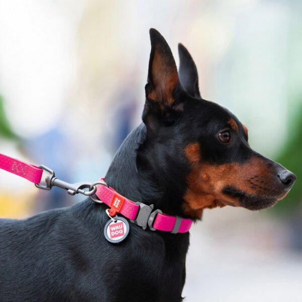 Waudog Collar Waterproof Rosa, Hebilla Fastex de Metal + Placa QR - Imagen 2