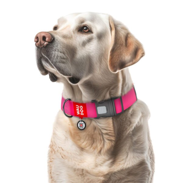 Waudog Collar Waterproof Rosa, Hebilla Fastex de Plástico + Placa QR - Imagen 2