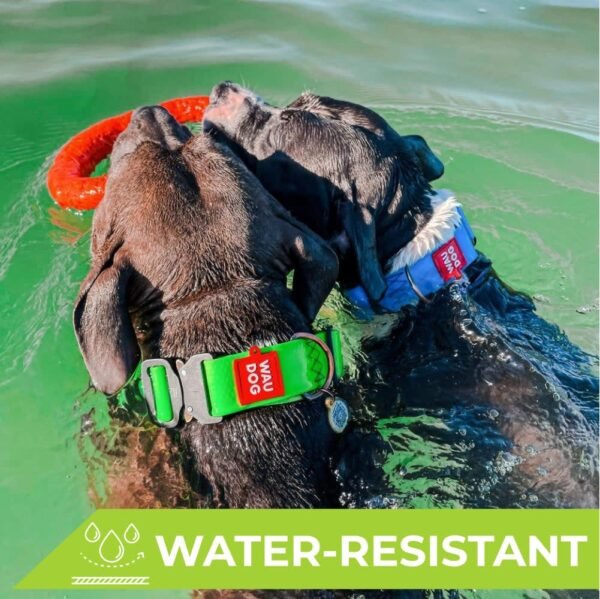Waudog Collar Waterproof Verde, Hebilla Fastex de Metal + Placa QR - Imagen 2