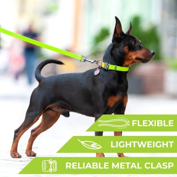 Waudog Collar Waterproof Verde, Hebilla Fastex de Metal + Placa QR - Imagen 3
