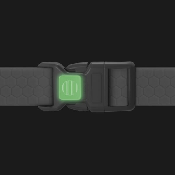 Waudog Collar Waterproof Verde, Hebilla Fastex de Plástico + Placa QR - Imagen 3
