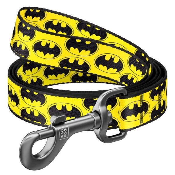 Waudog Correa Batman Logo DC Comics