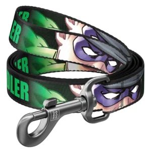 Waudog Correa Riddler DC Comics