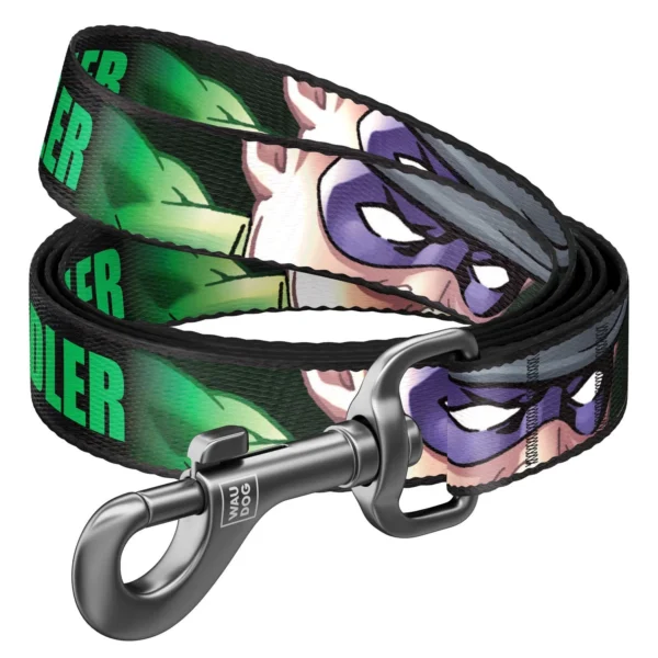 Waudog Correa Riddler DC Comics