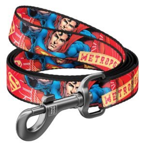 Waudog Correa Superhero DC Comics