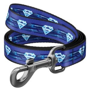 Waudog Correa Superman 1 DC Comics
