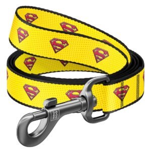 Waudog Correa Superman 2 DC Comics