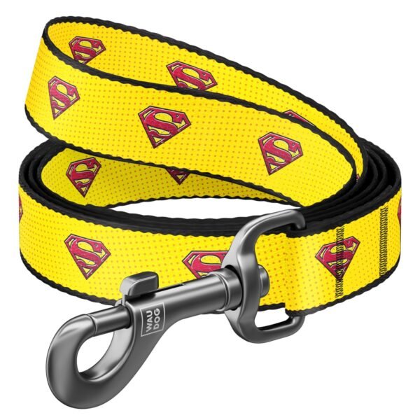 Waudog Correa Superman 2 DC Comics