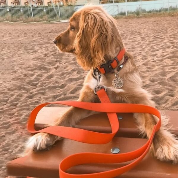 Waudog Correa Waterproof Naranja - Imagen 2