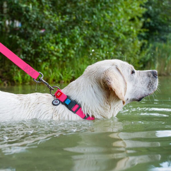 Waudog Correa Waterproof Rosa - Imagen 2