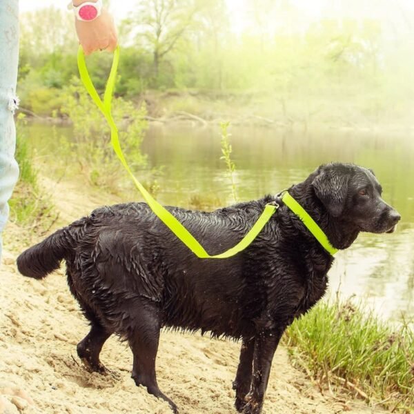 Waudog Correa Waterproof Verde - Imagen 2