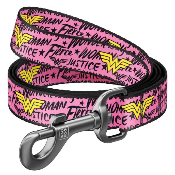 Waudog Correa Wonder Woman DC Comics