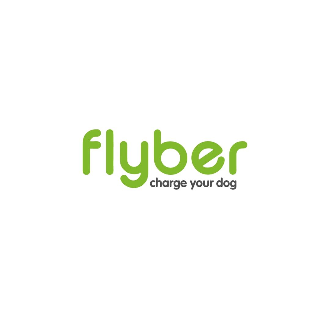 Flyber