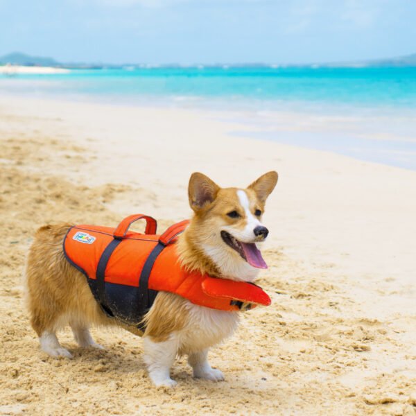 Outward Hound Chaleco Salvavidas Granby Splash - Imagen 2