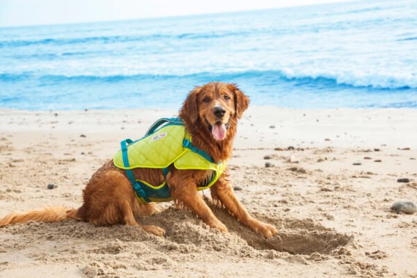 Outward Hound Chaleco Salvavidas Standley Sport Performance - Imagen 2