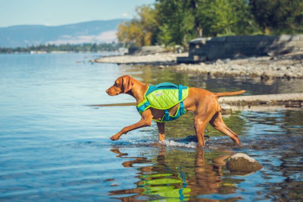 Outward Hound Chaleco Salvavidas Standley Sport Performance - Imagen 7