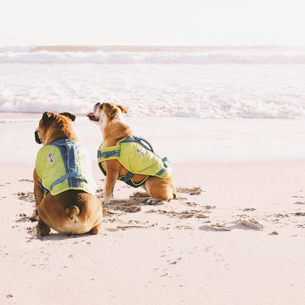 Outward Hound Chaleco Salvavidas Standley Sport Performance - Imagen 8