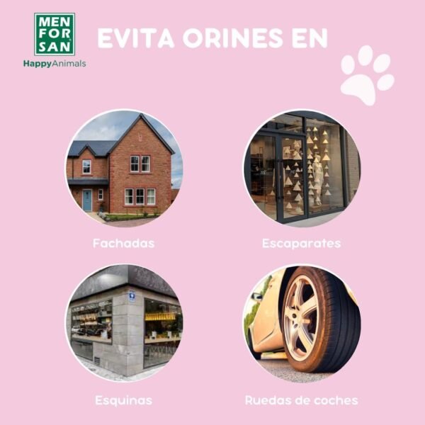 Menforsan Antiorines de Perros y Gatos - Imagen 3