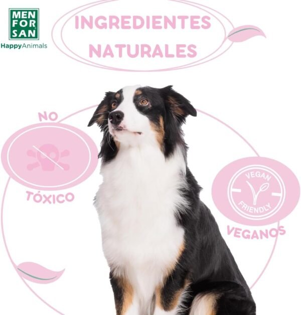 Menforsan Antiorines de Perros y Gatos - Imagen 4