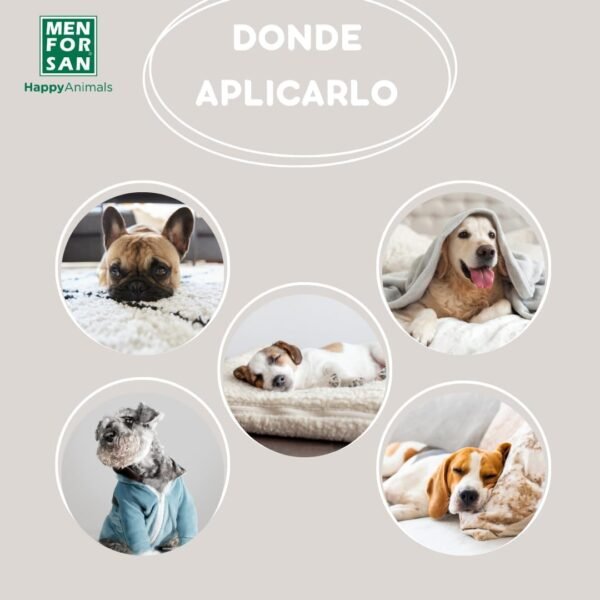 Menforsan Detergente para Ropa y Cama de Mascotas – 1L - Imagen 3