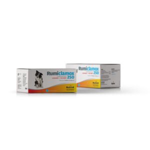 Rumiclamox 250mg – Caja x 100 Comp.