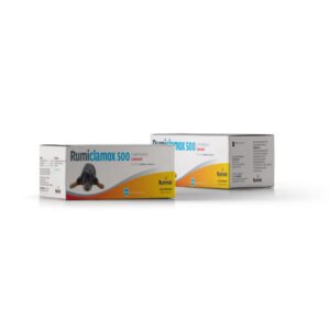 Rumiclamox 500mg – Caja x 80 Comp.