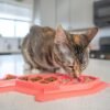Petstages Comedero Fishie Fun Feed Mat - Imagen 3