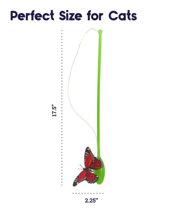 Petstages Juguete Butterfly Chase - Imagen 7