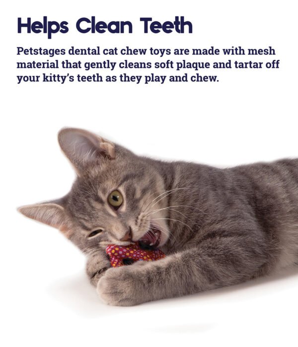 Petstages Juguete Dental Masticable Catnip Plaque Away Pretzel - Imagen 3