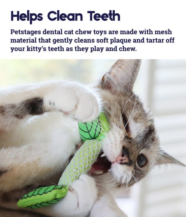 Petstages Juguete Dental Masticable Fresh Breath Mini Stick - Imagen 3