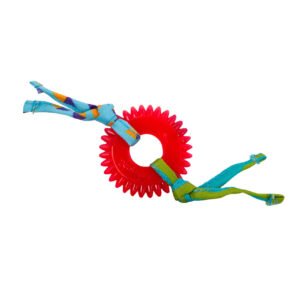 Petstages Juguete Dental Masticable Kitty Chew Wheel