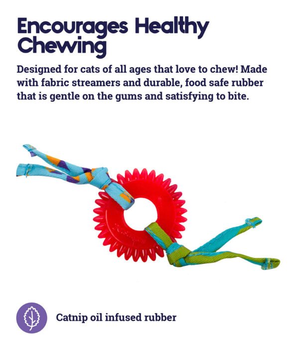 Petstages Juguete Dental Masticable Kitty Chew Wheel - Imagen 3