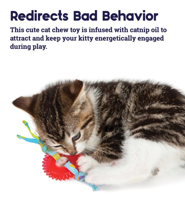 Petstages Juguete Dental Masticable Kitty Chew Wheel - Imagen 5