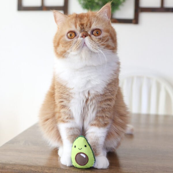 Petstages Juguete Dental Masticable Lil' Avocato Green - Imagen 3