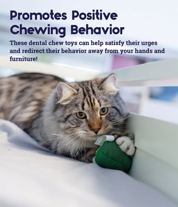 Petstages Juguete Dental Masticable Lil' Avocato Green - Imagen 4