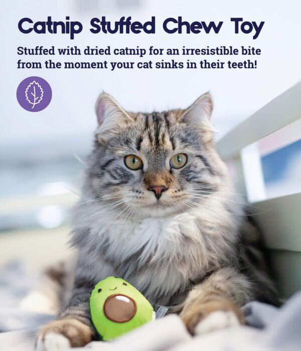 Petstages Juguete Dental Masticable Lil' Avocato Green - Imagen 5