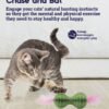 Petstages Juguete HoneyComb Hide a Ball - Imagen 3