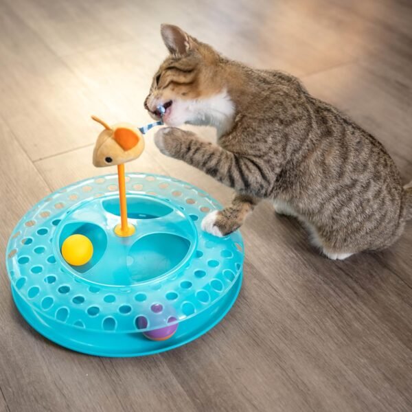 Petstages Juguete Interactivo Cheese Chase - Imagen 3