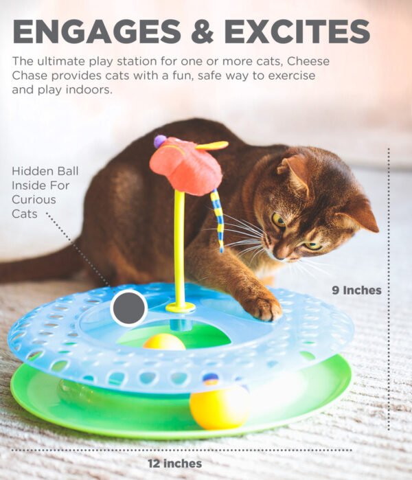 Petstages Juguete Interactivo Cheese Chase - Imagen 6