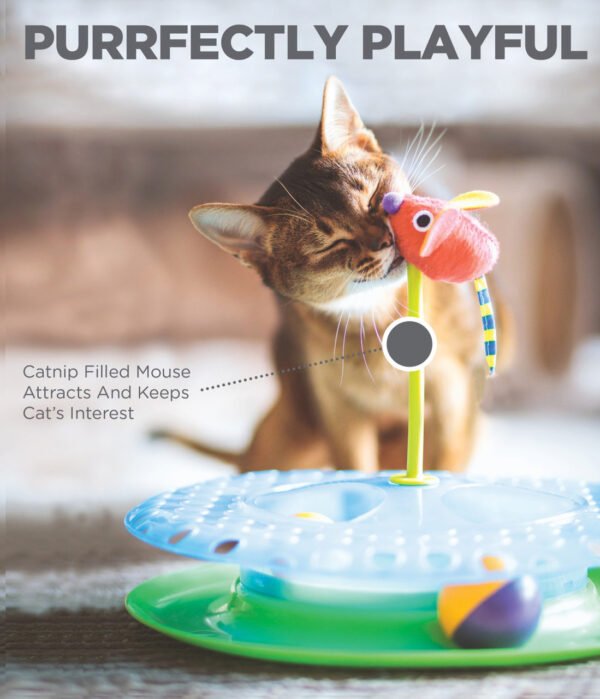 Petstages Juguete Interactivo Cheese Chase - Imagen 7