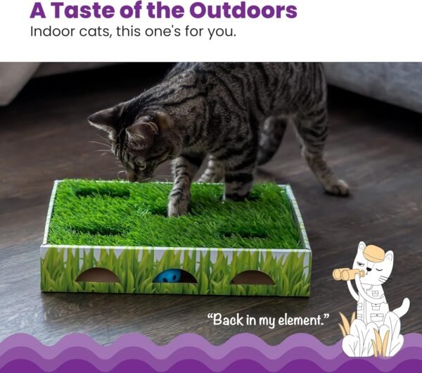 Petstages Juguete Interactivo Grass Patch Hunting Box - Imagen 3