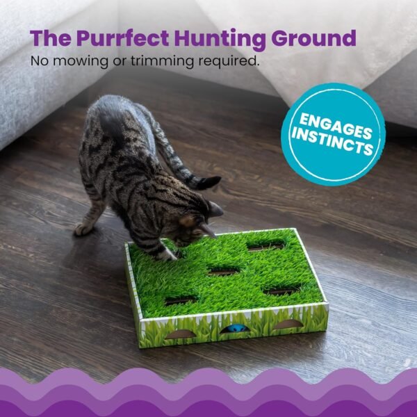 Petstages Juguete Interactivo Grass Patch Hunting Box - Imagen 4