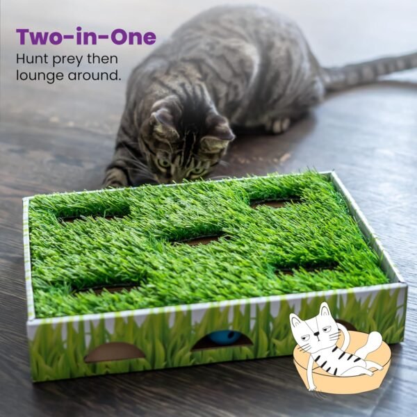 Petstages Juguete Interactivo Grass Patch Hunting Box - Imagen 6