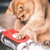 Petstages Juguete Kitty Roll Kicker Track - Imagen 3