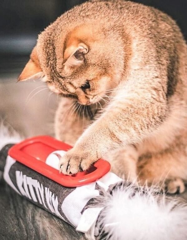 Petstages Juguete Kitty Roll Kicker Track - Imagen 3