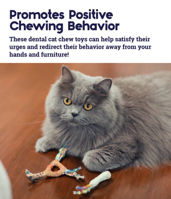 Petstages Juguete Masticable Catnip Dental Health Chew – 2 Pack - Imagen 5